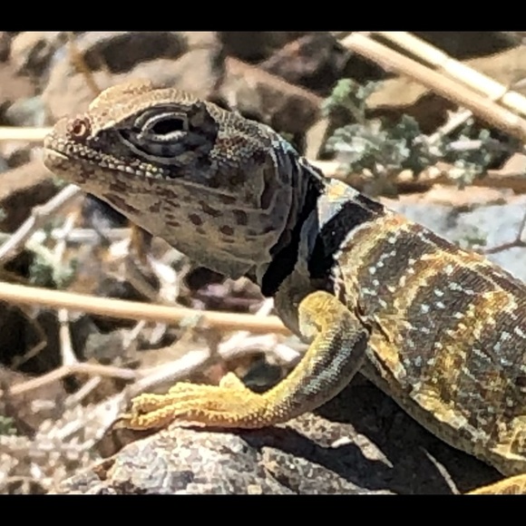 Meet your Posher, Sarah - Picture 5 of 15